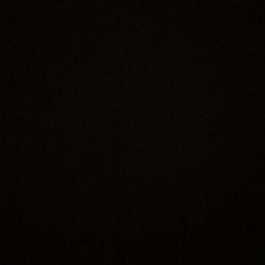 Meet your Posher, Dolly